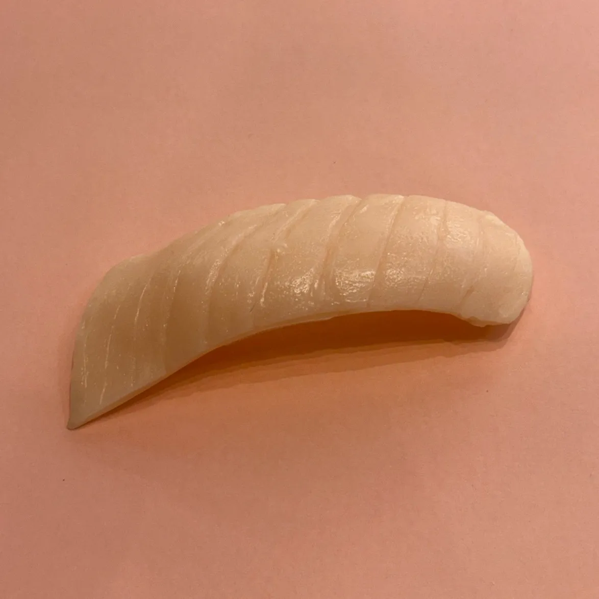 第1回:【マグロ着色】すべては“赤身”から始まる!