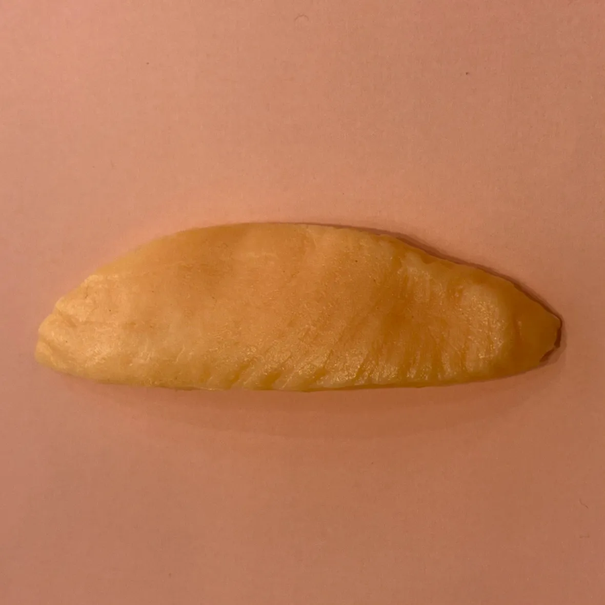 第2回:【サーモン着色】オレンジの魔法をかけよう!